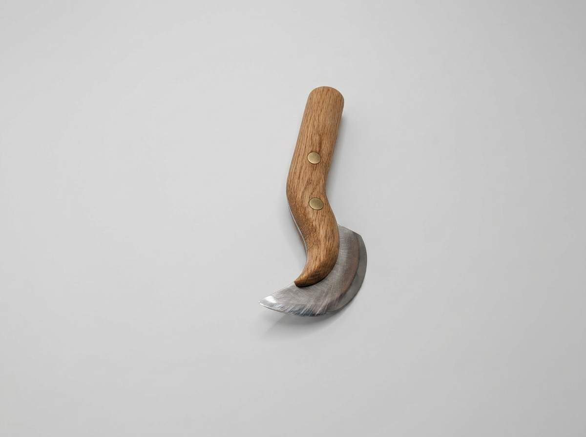 Full view of the leading knife with hardwood handle and stainless steel blade